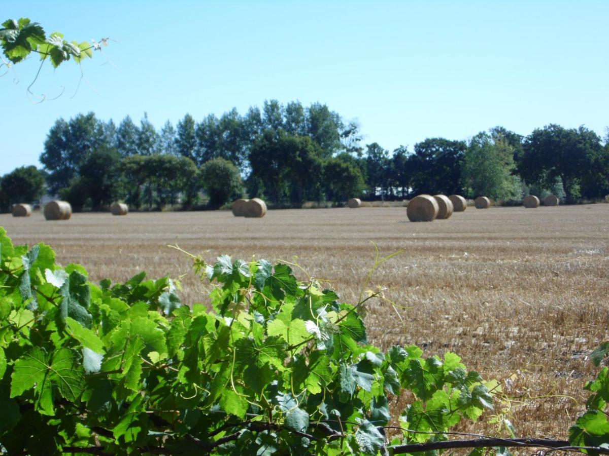 Gite A La Ferme En Pleine Nature Exterior photo